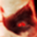 《沙漠大冒险》v1.0.3中文版-趣奇资源网-第10张图片